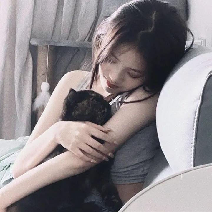 豺狼之吻